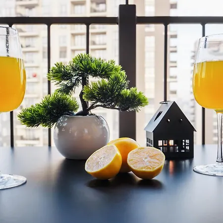 Wf Sky Charm With Terraces & Billiard ベオグラード